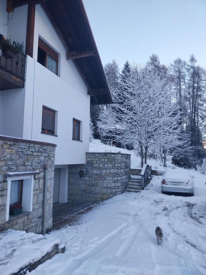 Apartament Ciasa De Milu Cibiana Zewnętrze zdjęcie